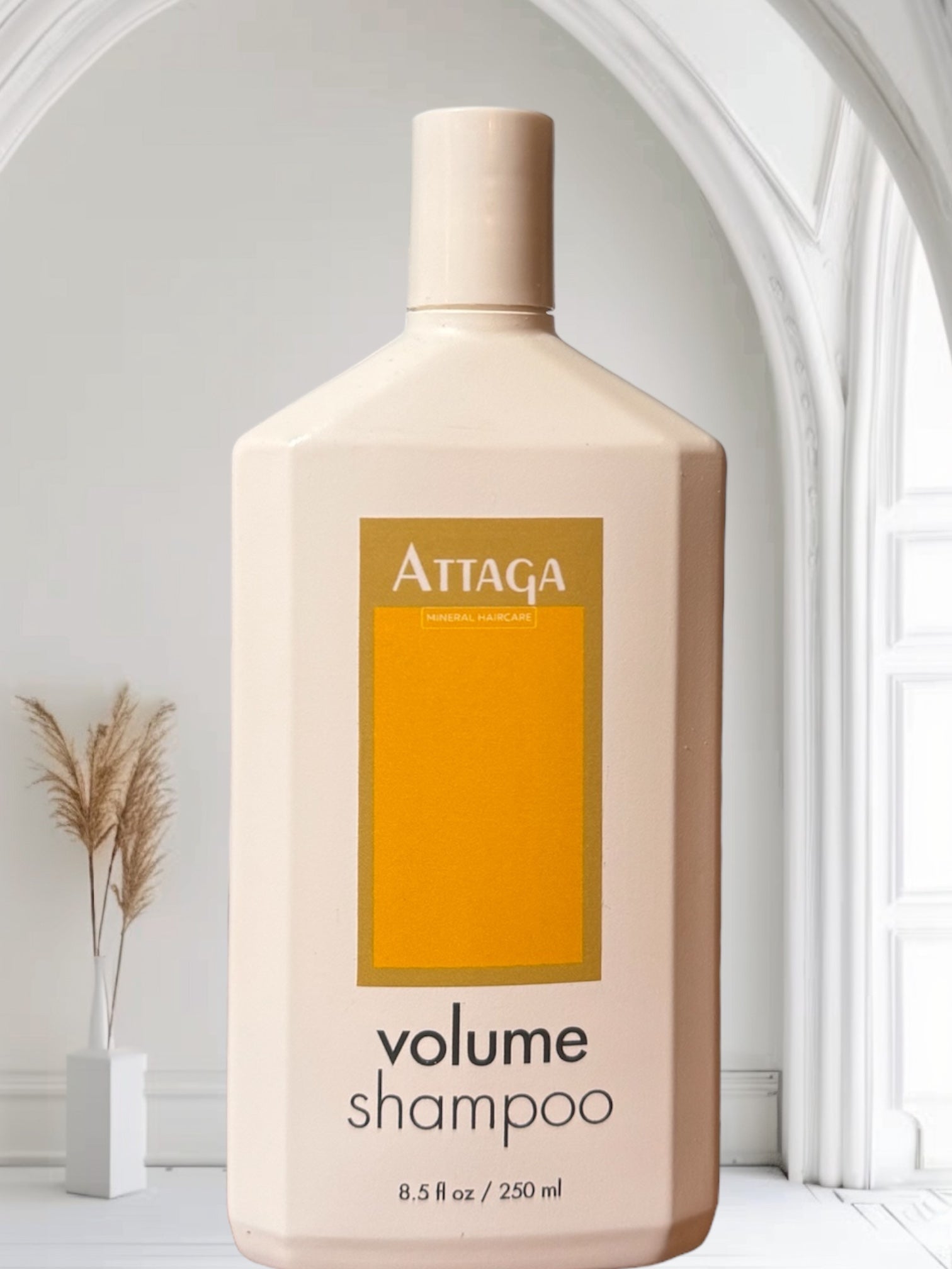 ATTAGA Volume Shampoo